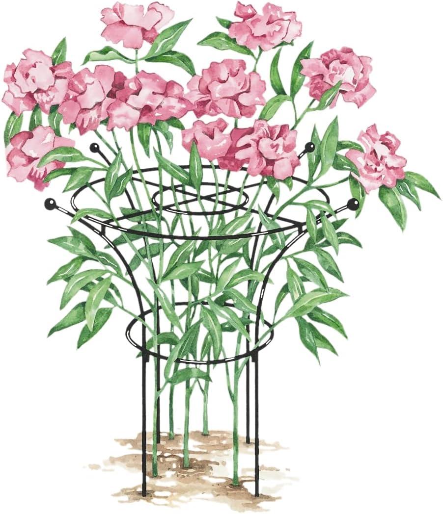 Essex Plant Supports