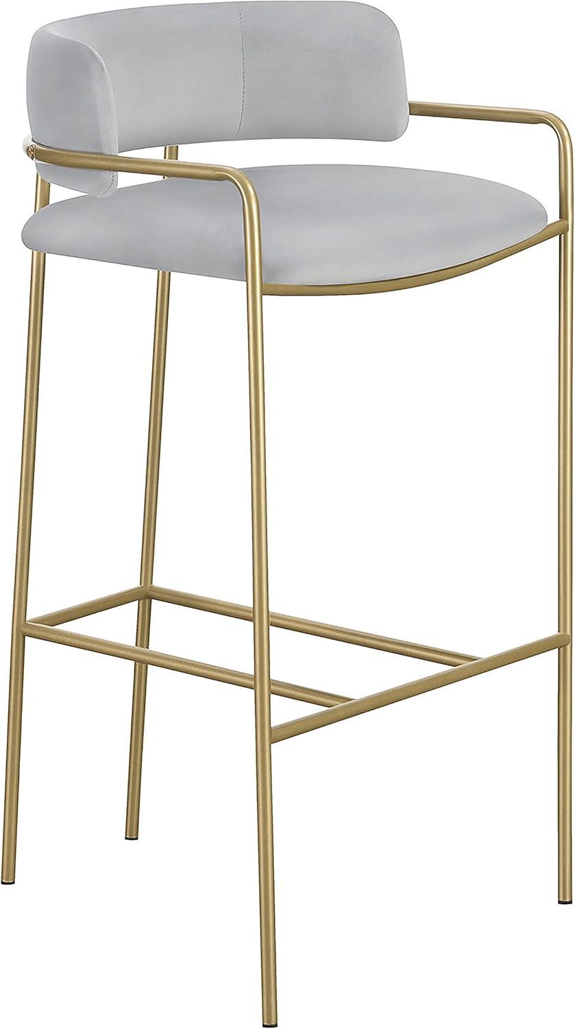 Coaster Comstock Velvet Upholstered Low Back Stool Gray and Gold