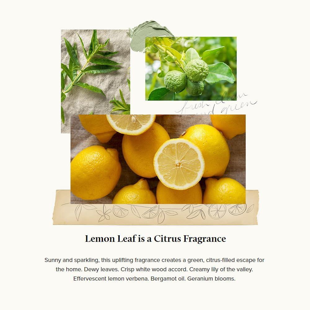 Thymes Lemon Leaf Scented White Glass Candle 8 oz