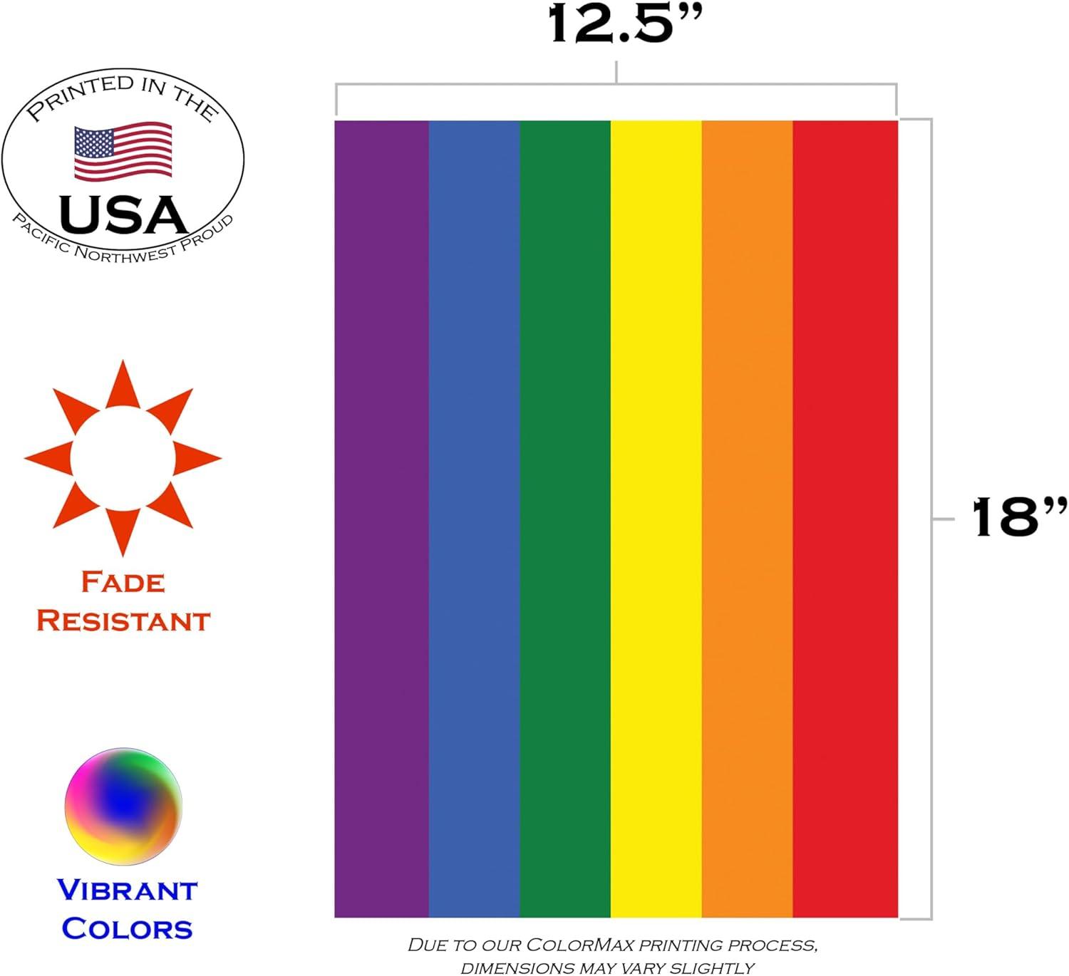 Toland Home Garden Rainbow Pride LGBTQIA+ Pride Flag Double Sided 12x18 Inch