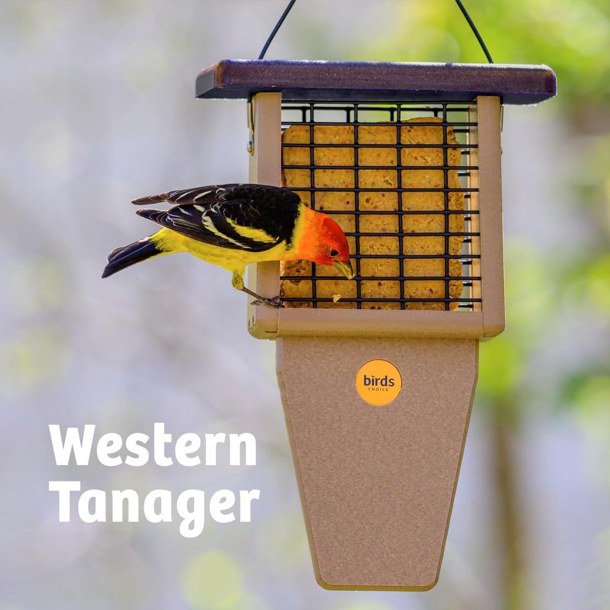 Birds Choice Birds Choice 12" Recycled Single Cake Tail Prop Suet Feeder, Taupe/Green