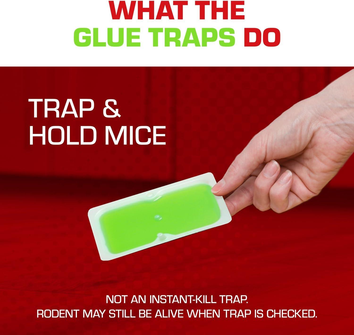 Tomcat Super Hold Glue Traps Mouse Size, Ready-To-Use, 4 Traps