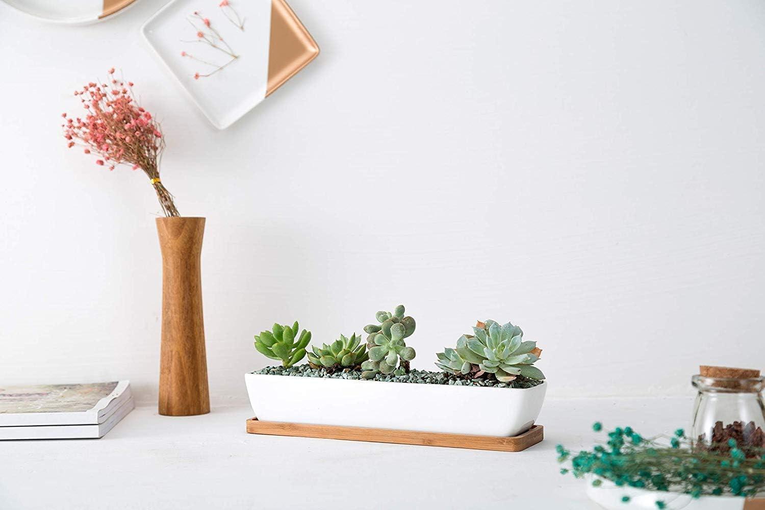 Kipokalor Rectangular Long Succulent Planter Pot,1 Set 11.1x2.36x1.77inch Long Modern Minimalist White Ceramic with Saucer for Office,Desk,Window.