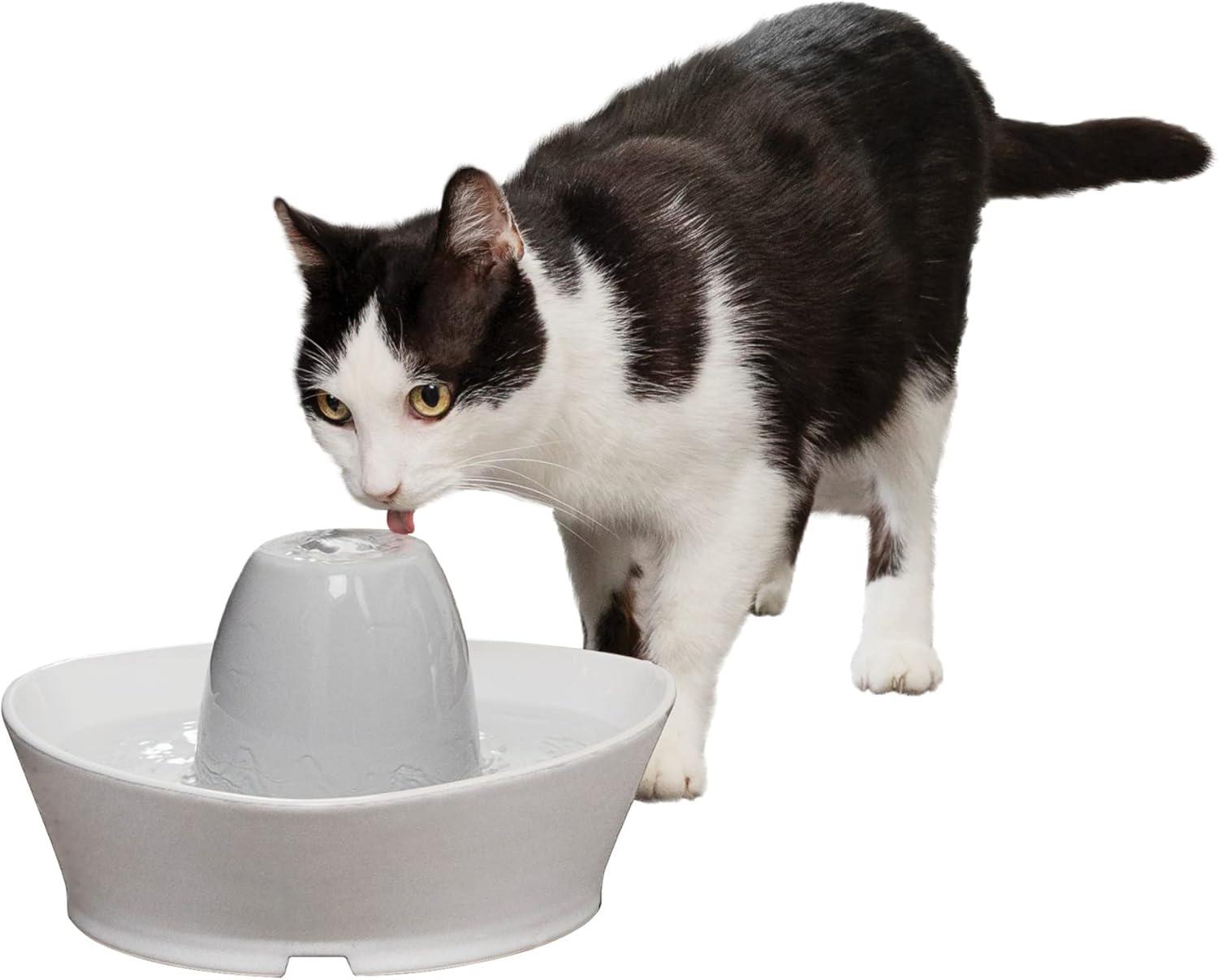 PetSafe Creekside Ceramic Pet Fountain - White