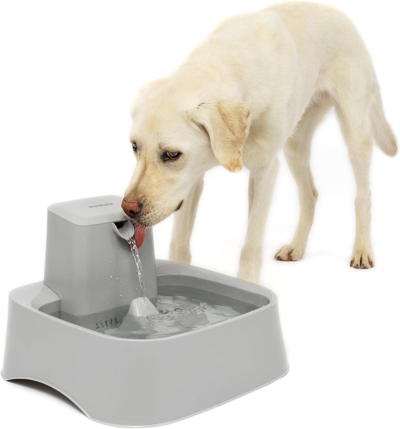 PetSafe® Drinkwell® Gallon Pet Fountain