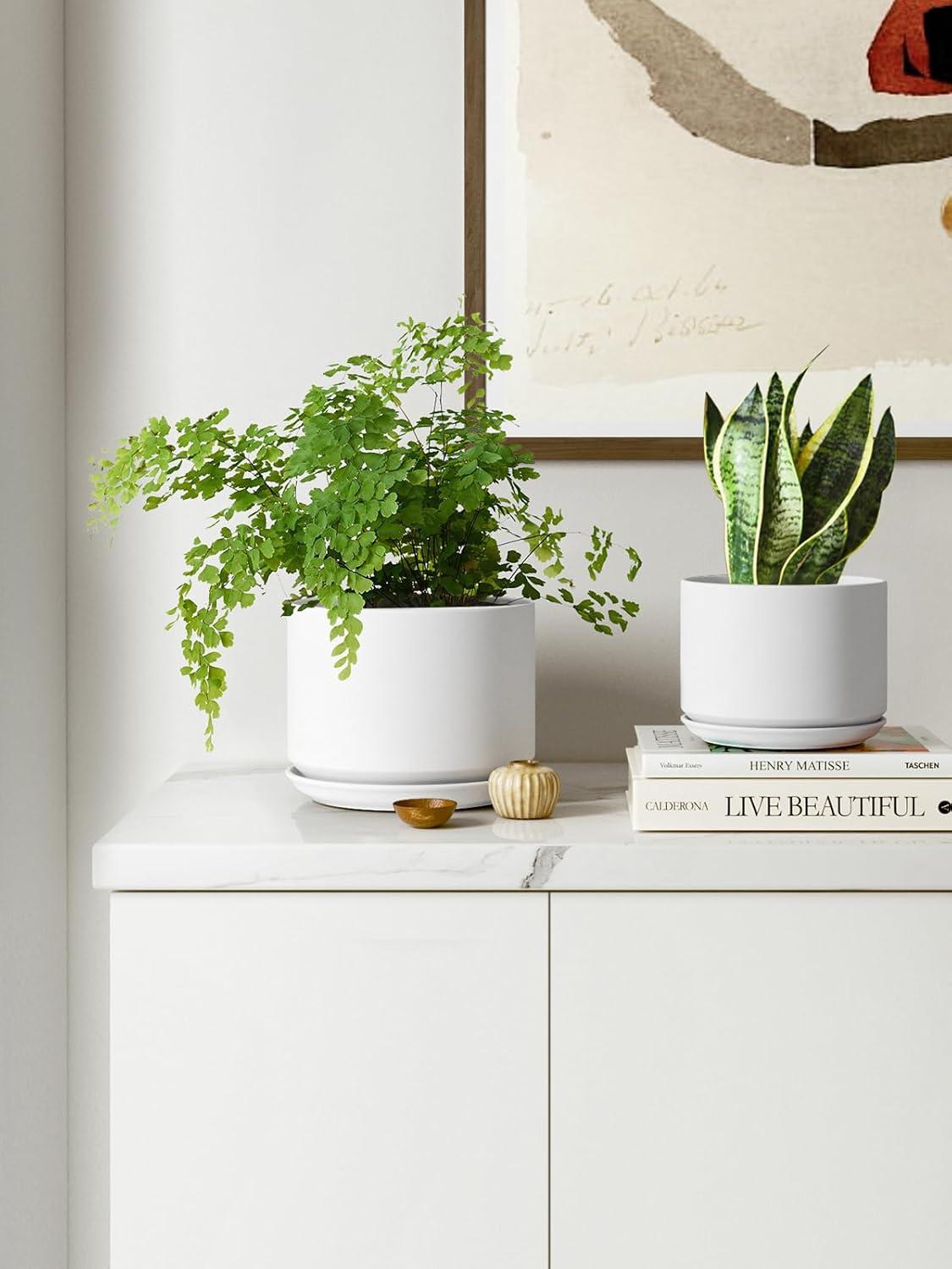Set Of 3 Modern Ceramic Planter Pots With Drainage - Stylish Indoor/Outdoor Decor