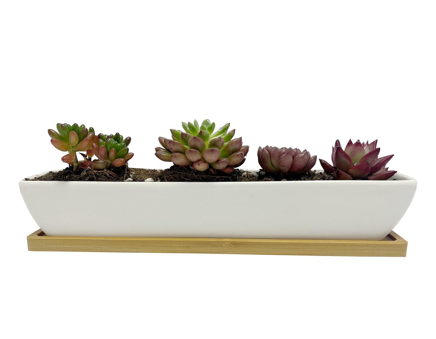 Kipokalor Rectangular Long Succulent Planter Pot,1 Set 11.1x2.36x1.77inch Long Modern Minimalist White Ceramic with Saucer for Office,Desk,Window.