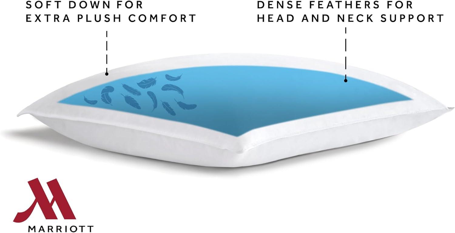 & Down Pillow - Dual Chamber Pillow and Down Pillow (Standard)