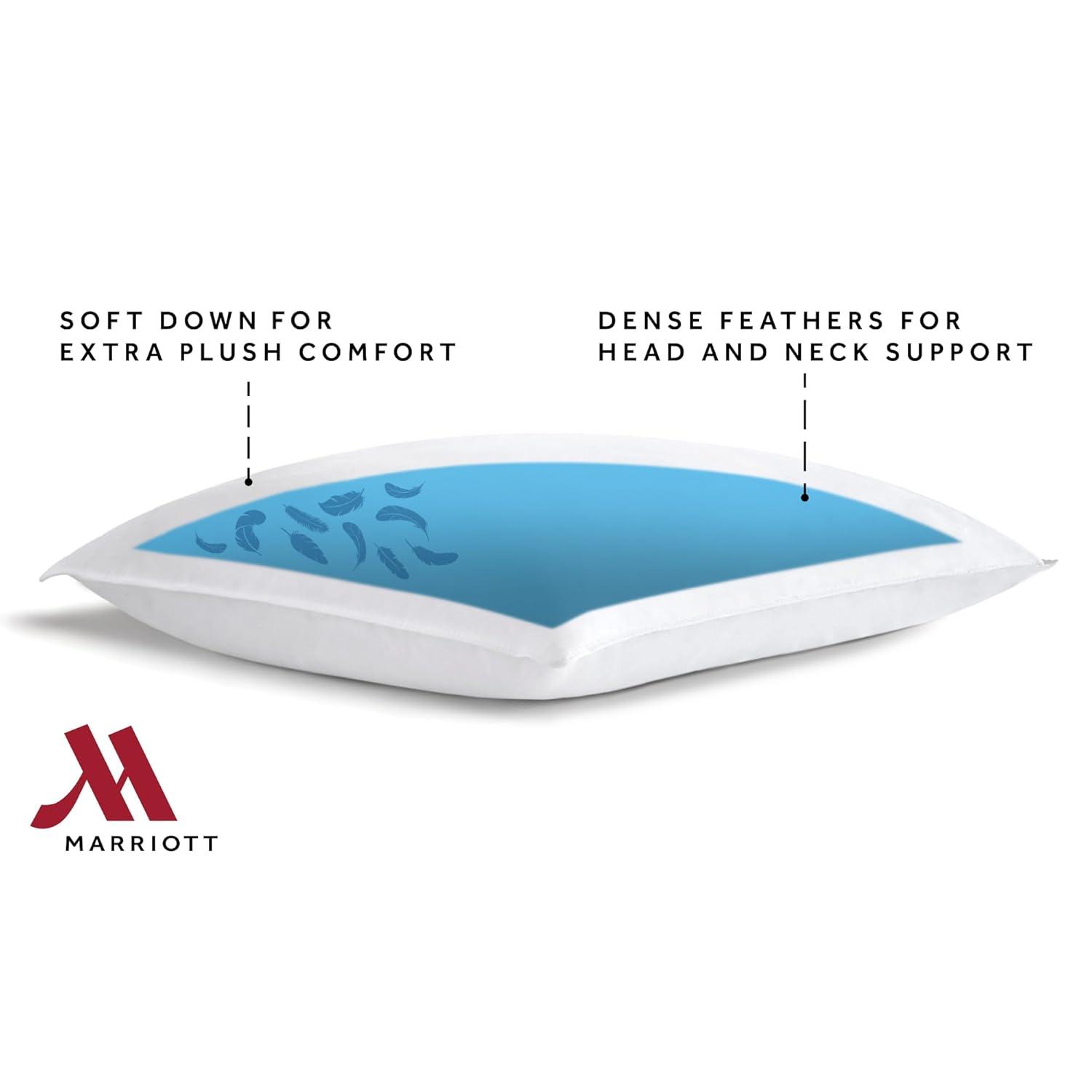 & Down Pillow - Dual Chamber Pillow and Down Pillow (Standard)