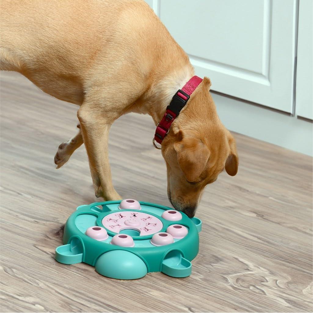 Interactive Tortoise Design Dog Treat Dispenser Toy