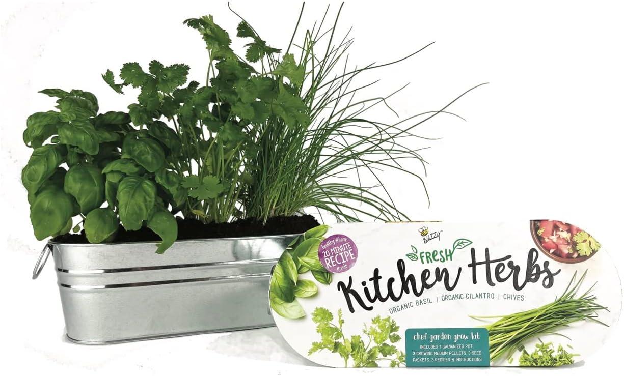 Buzzy Kitchen Herb (Organic Basil, Cilantro & Chives) Indoor Windowsill Grow Kit