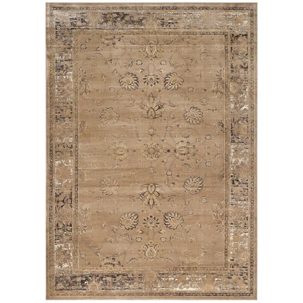 SAFAVIEH Vintage Jaxon Traditional Area Rug, Taupe, 8' x 10'
