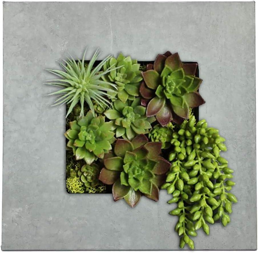 Modern Home Living Wall Galvanized Steel/Zinc Succulent Planter