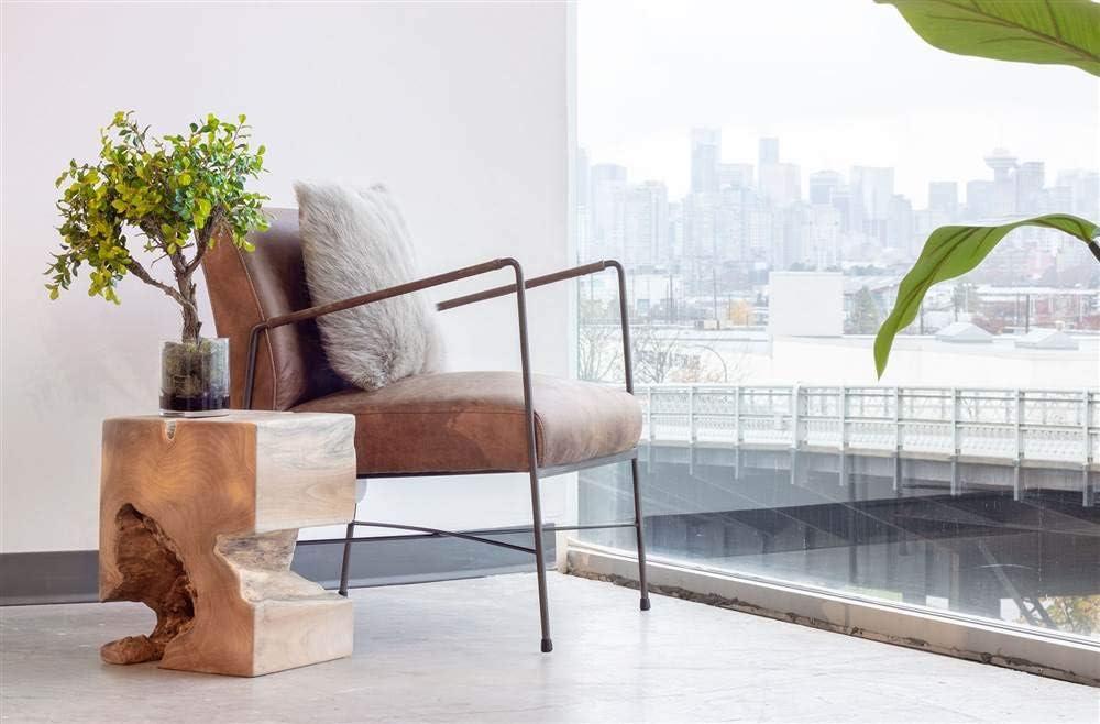 Ivie Leather Accent Chair