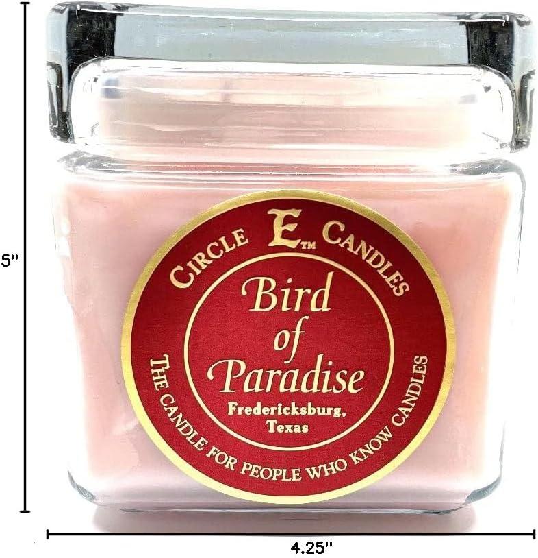 Circle E Candles, Bird of Paradise Scent, Large Size Jar Candle, 32oz, 2 Wicks