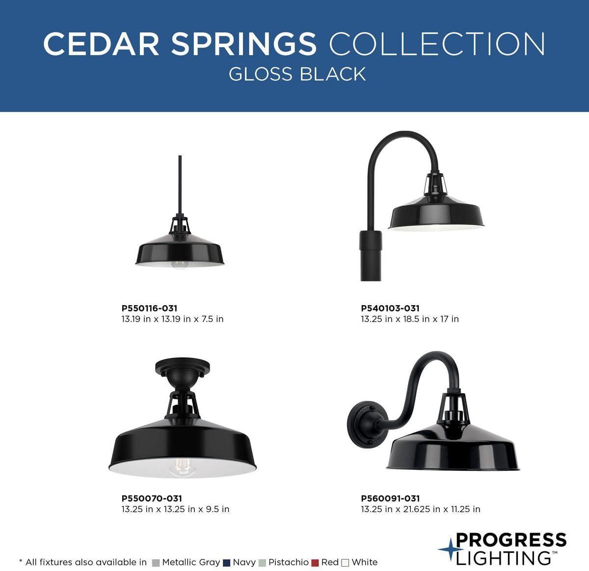 Progress Lighting Cedar Springs 1-Light Ceiling Light, Black, White Shade