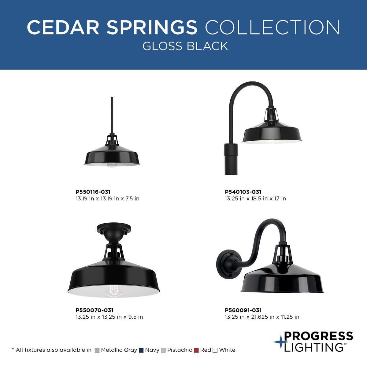 Progress Lighting Cedar Springs 1-Light Ceiling Light, Black, White Shade
