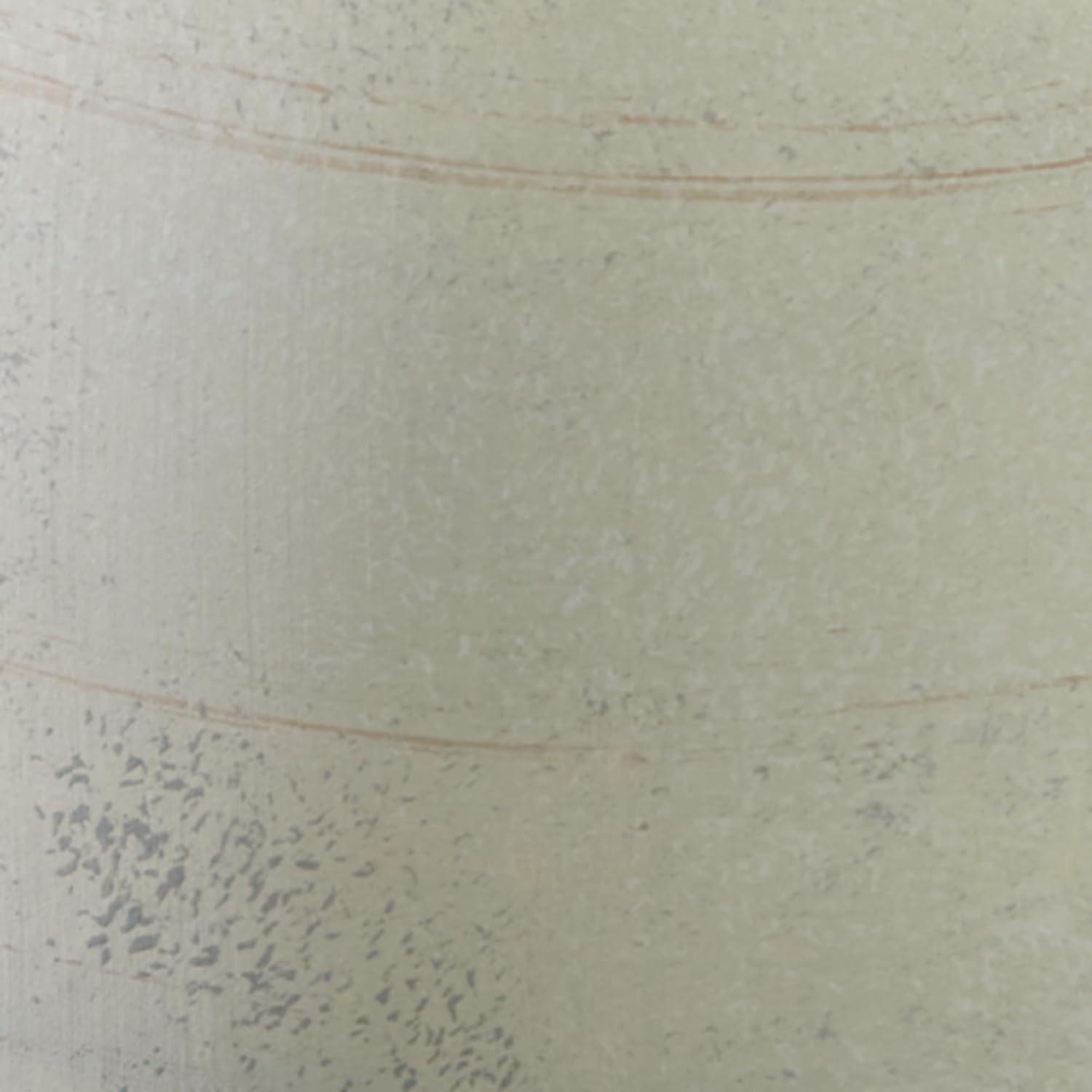 Wade Logan® Ceasia Vase