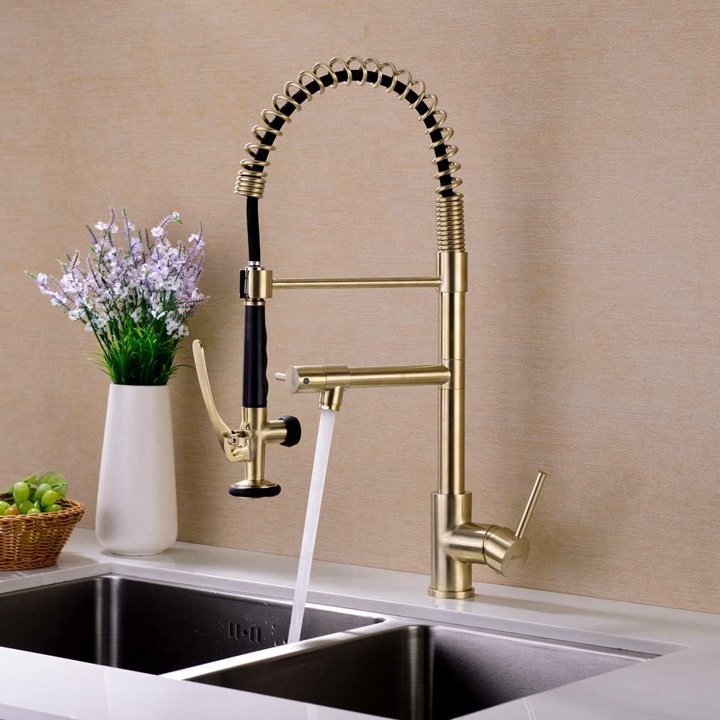 LOONGFIELD ASTARQ-W1932P172291 Kitchen Faucet Pull Down Sprayer Brushed Nickel,Single Handle Kitchen Sink Faucet