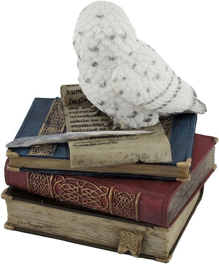 4.75 Inch Snow Owl on Books Decorative Trinket Box, White Color