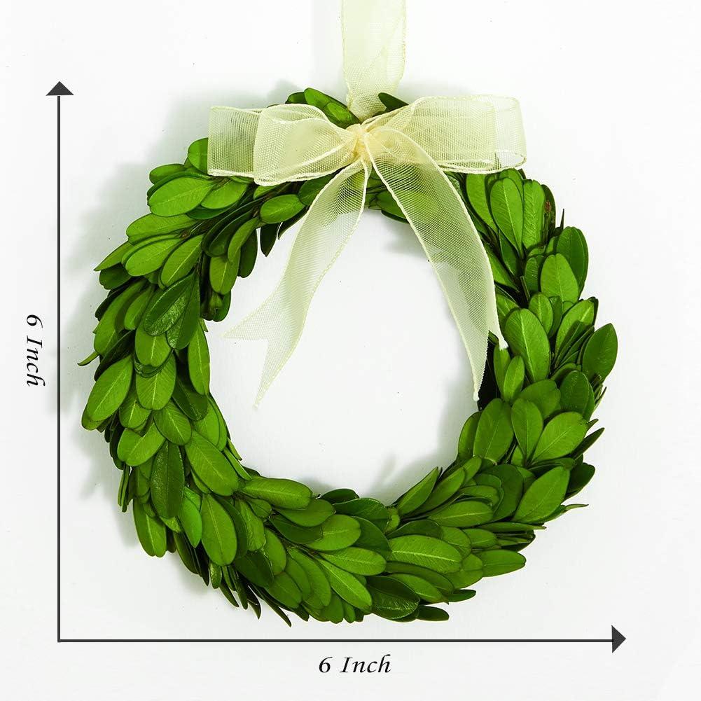 Mini 6-Inch Preserved Boxwood Wreaths with Mesh Ribbon