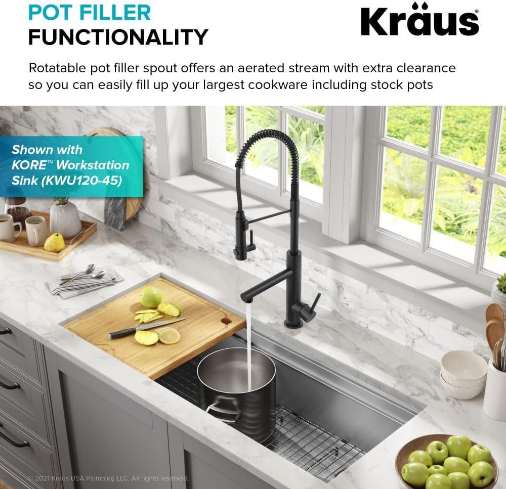 Matte Black Semi-Professional Kitchen Faucet with Pull-out Spray