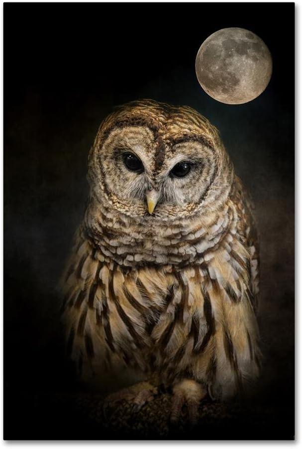 Trademark Fine Art Jai Johnson " Barred Owl And The Moon " by Jai Johnson