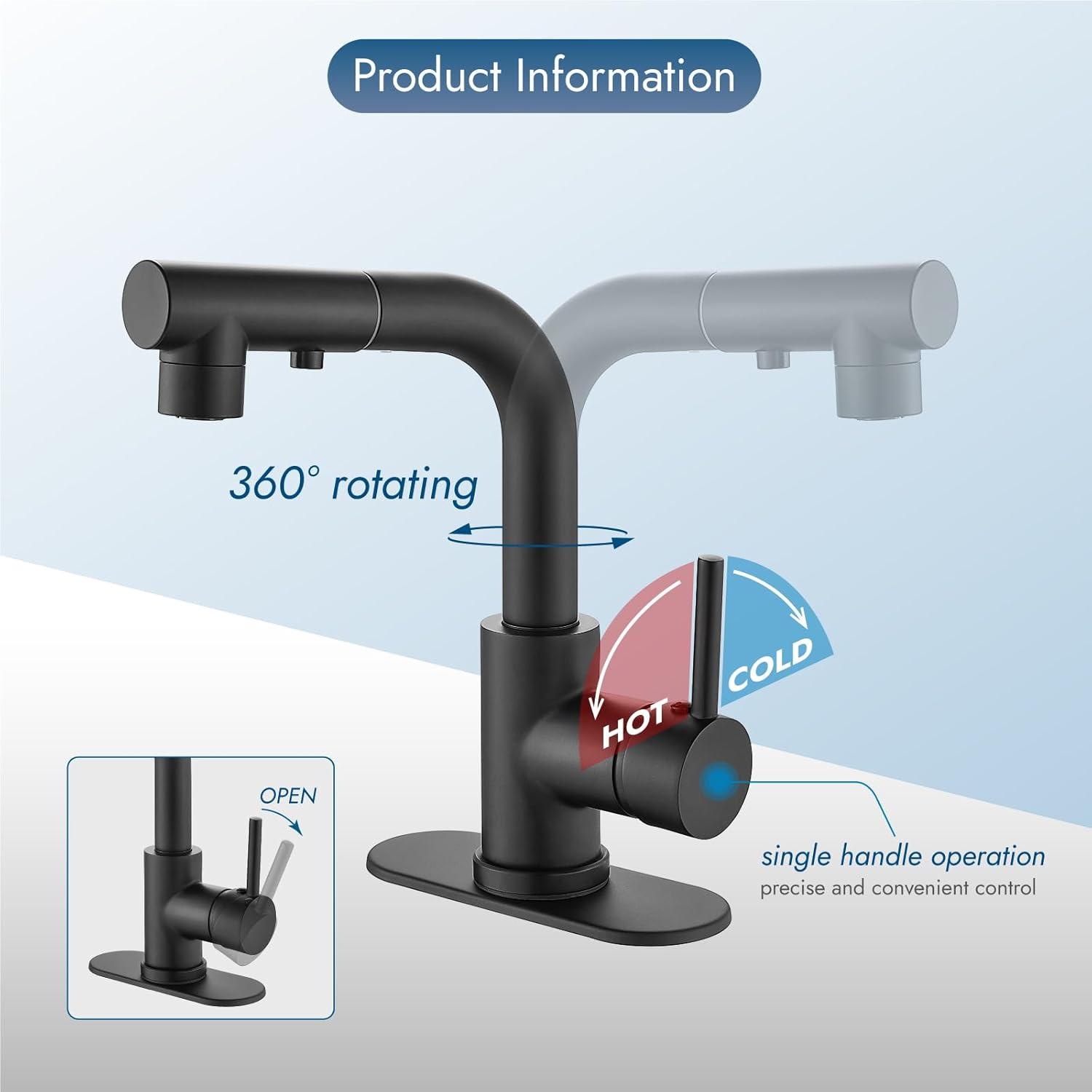 Matte Black Stainless Steel Pull-Out Spray Kitchen Faucet