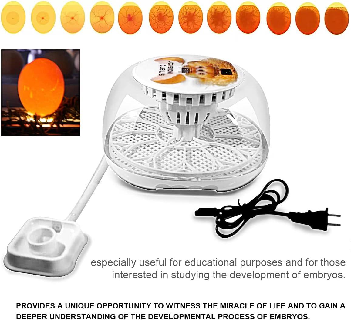 Lreerge Egg Incubator, 12 Eggs Incubator with Automatic Egg Turning, Automatic Water Adding, 360 Degree View, for Hatching Chicken Goose Quail Duck