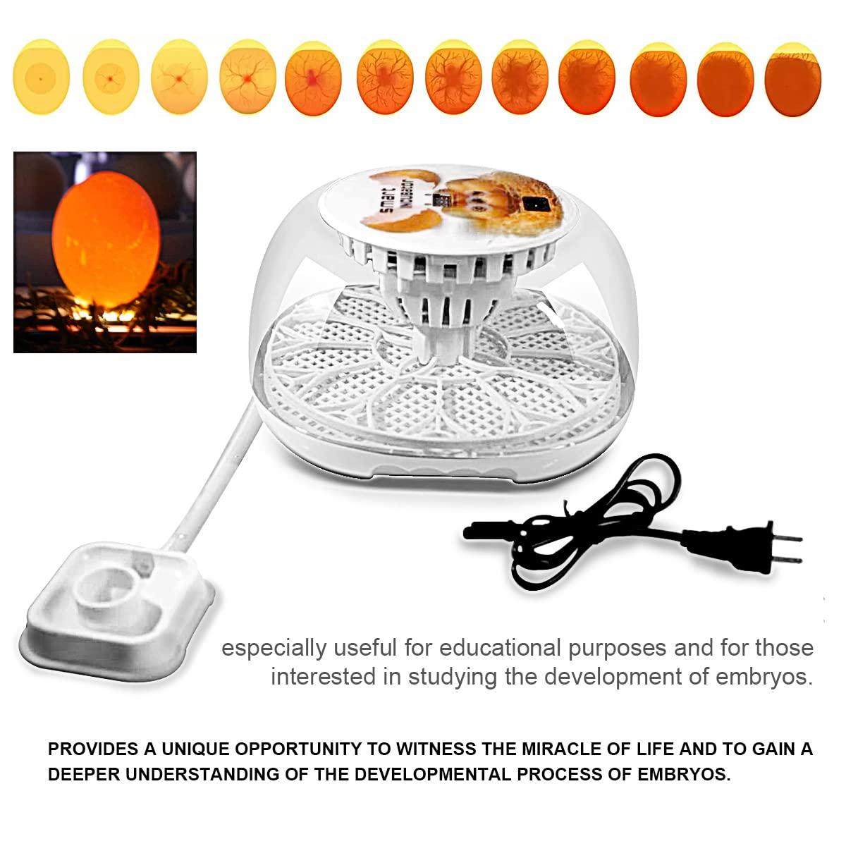 Lreerge Egg Incubator, 12 Eggs Incubator with Automatic Egg Turning, Automatic Water Adding, 360 Degree View, for Hatching Chicken Goose Quail Duck