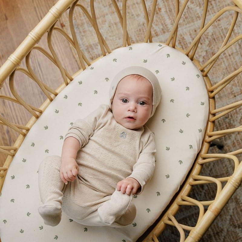 Ely's & Co. Baby Fitted Bassinet Sheet 100% Combed Jersey Cotton 2 Packs Gender Neutral