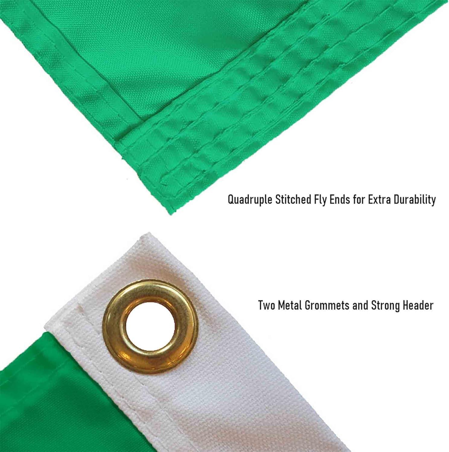 Desert Cactus University of North Texas Flag UNT Mean Green Flags Banners 100% Polyester Indoor Outdoor 3x5 (Green Texas Flag)