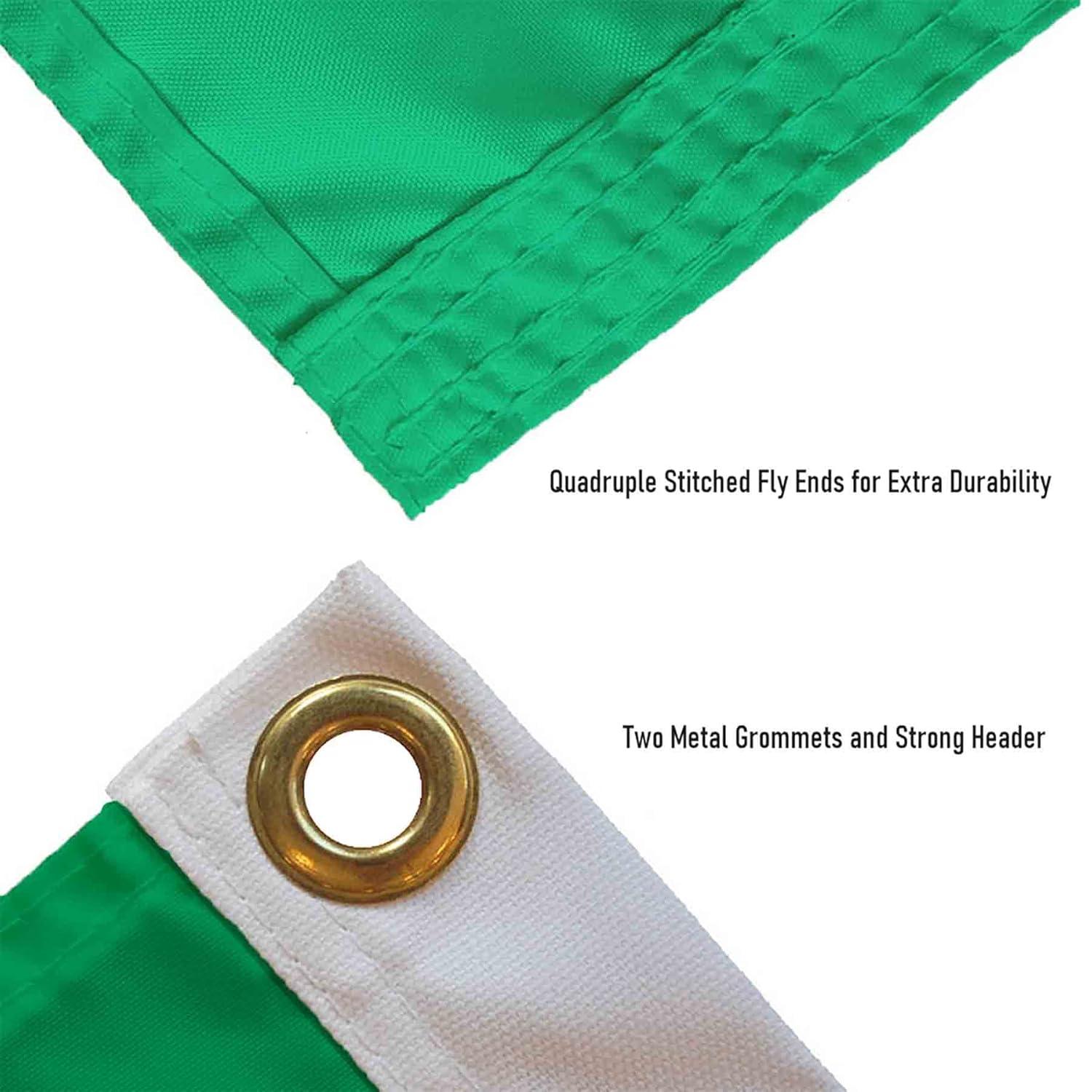 Desert Cactus University of North Texas Flag UNT Mean Green Flags Banners 100% Polyester Indoor Outdoor 3x5 (Green Texas Flag)