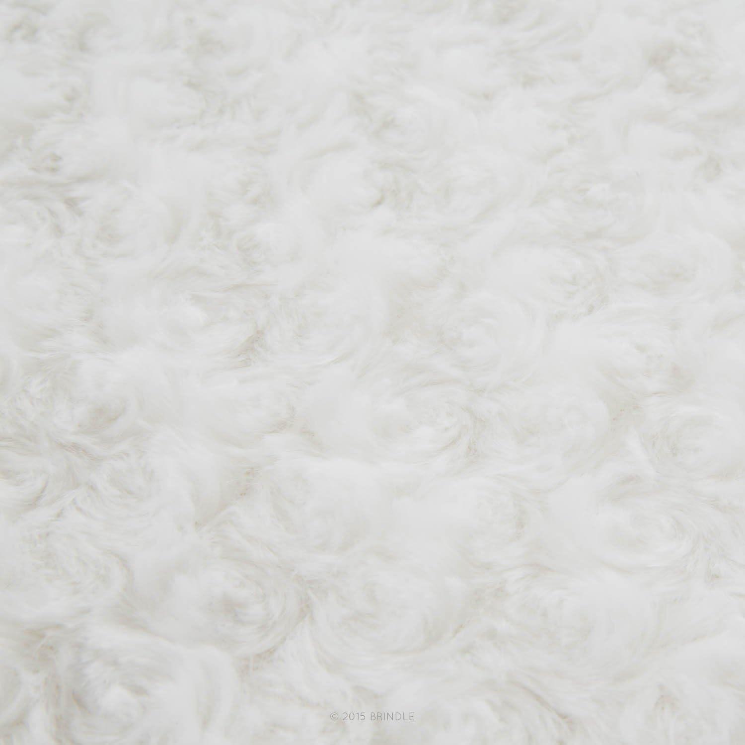 Tucker Murphy Pet™ Cottrell Waterproof Designer Pillow