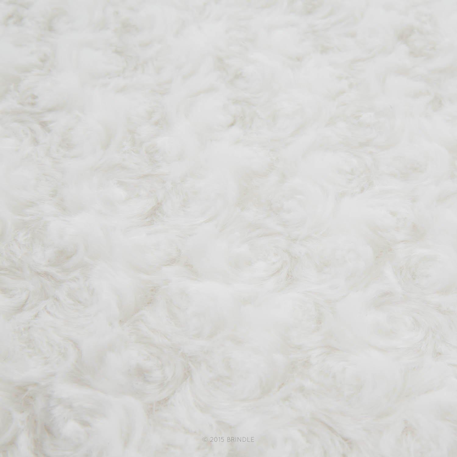 Tucker Murphy Pet™ Cottrell Waterproof Designer Pillow