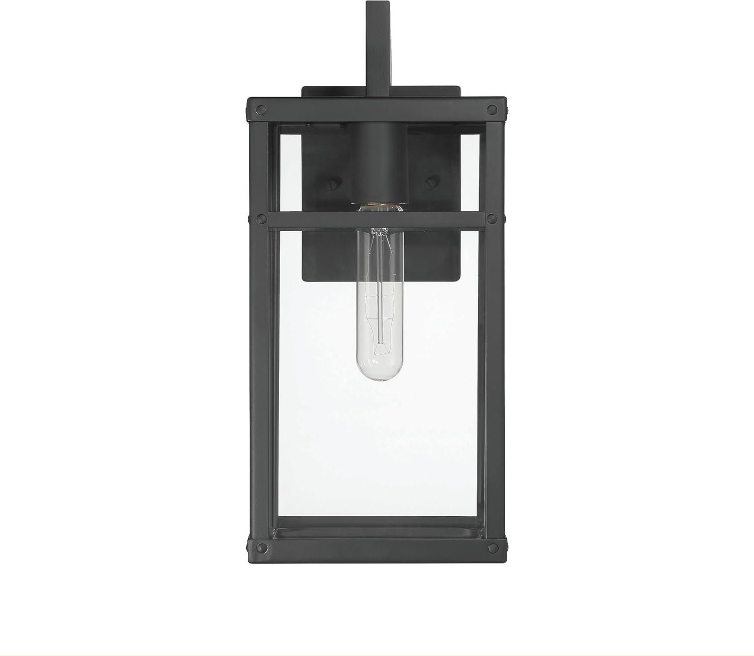 Robert Stevenson Lighting Blake Modern Metal and Clear Glass Paneled Wall Mounted Outdoor Light Black: ETL Listed, 1-Light Sconce, No Switch