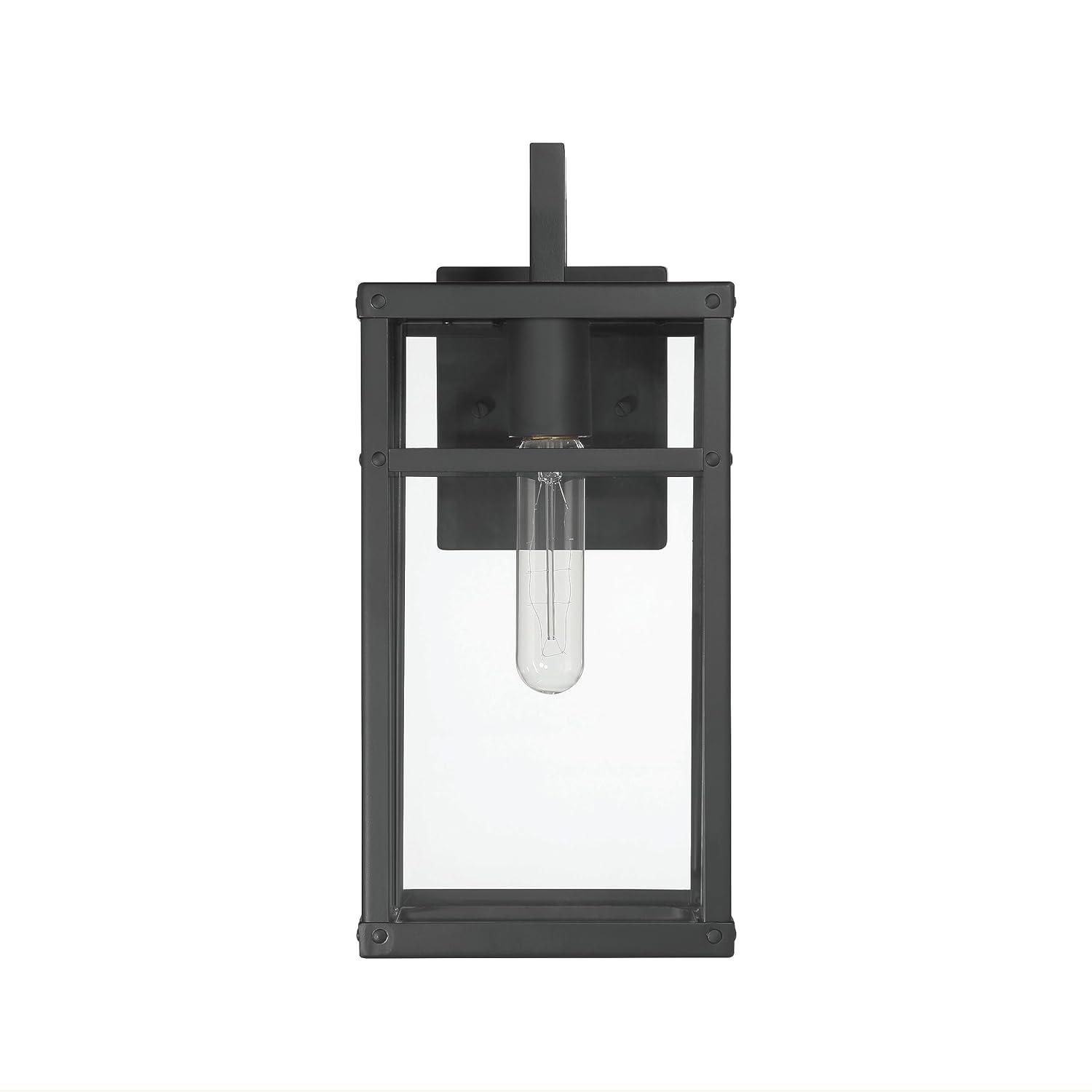 Robert Stevenson Lighting Blake Modern Metal and Clear Glass Paneled Wall Mounted Outdoor Light Black: ETL Listed, 1-Light Sconce, No Switch