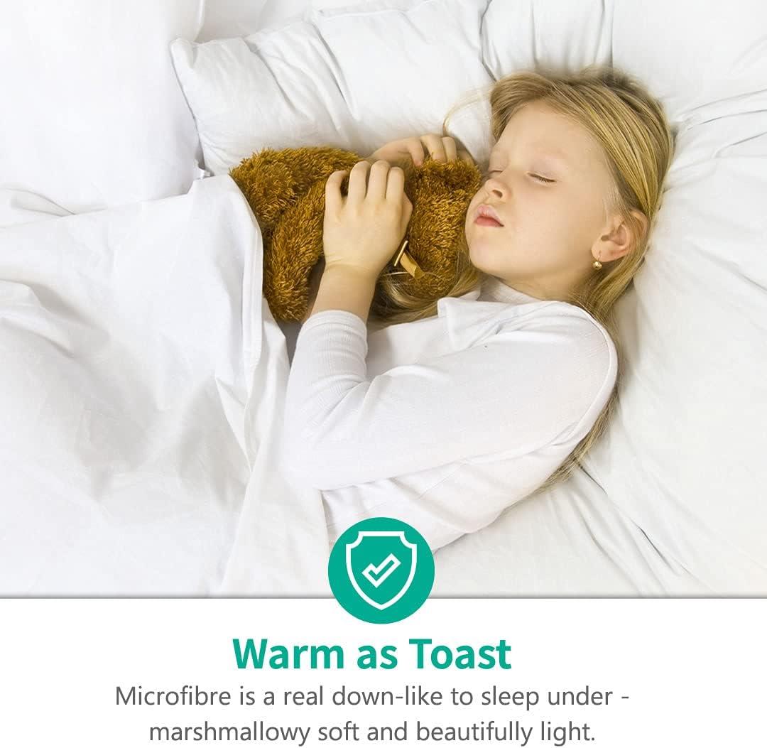 APSMILE Reversible All Season Ultra Soft Cloud Fluffy Plush Recycled Microfiber Down Alternative Full King Comforter Duvet Quilt, All White