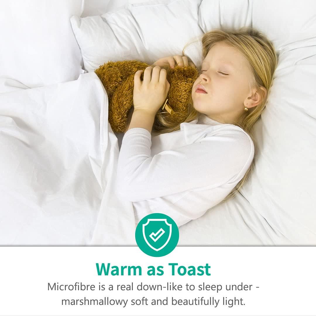 APSMILE Reversible All Season Ultra Soft Cloud Fluffy Plush Recycled Microfiber Down Alternative Full King Comforter Duvet Quilt, All White