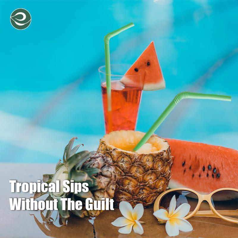 ECO SOUL 100% Compostable Straws [100 Count] [8.25"] Eco-Friendly Biodegradable Sustainable Disposable Straws, Cocktail Cold Drink Smoothie Bendable Straws