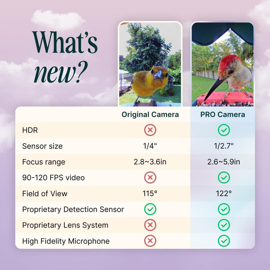 Bird Buddy Smart Bird Feeder with Camera and Solar Roof: Weather-Resistant, Hanging or Pole Mount