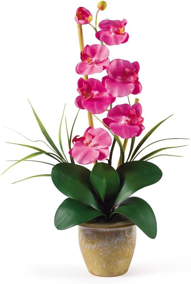 Dark Pink Silk Phalaenopsis Orchid in Ceramic Pot