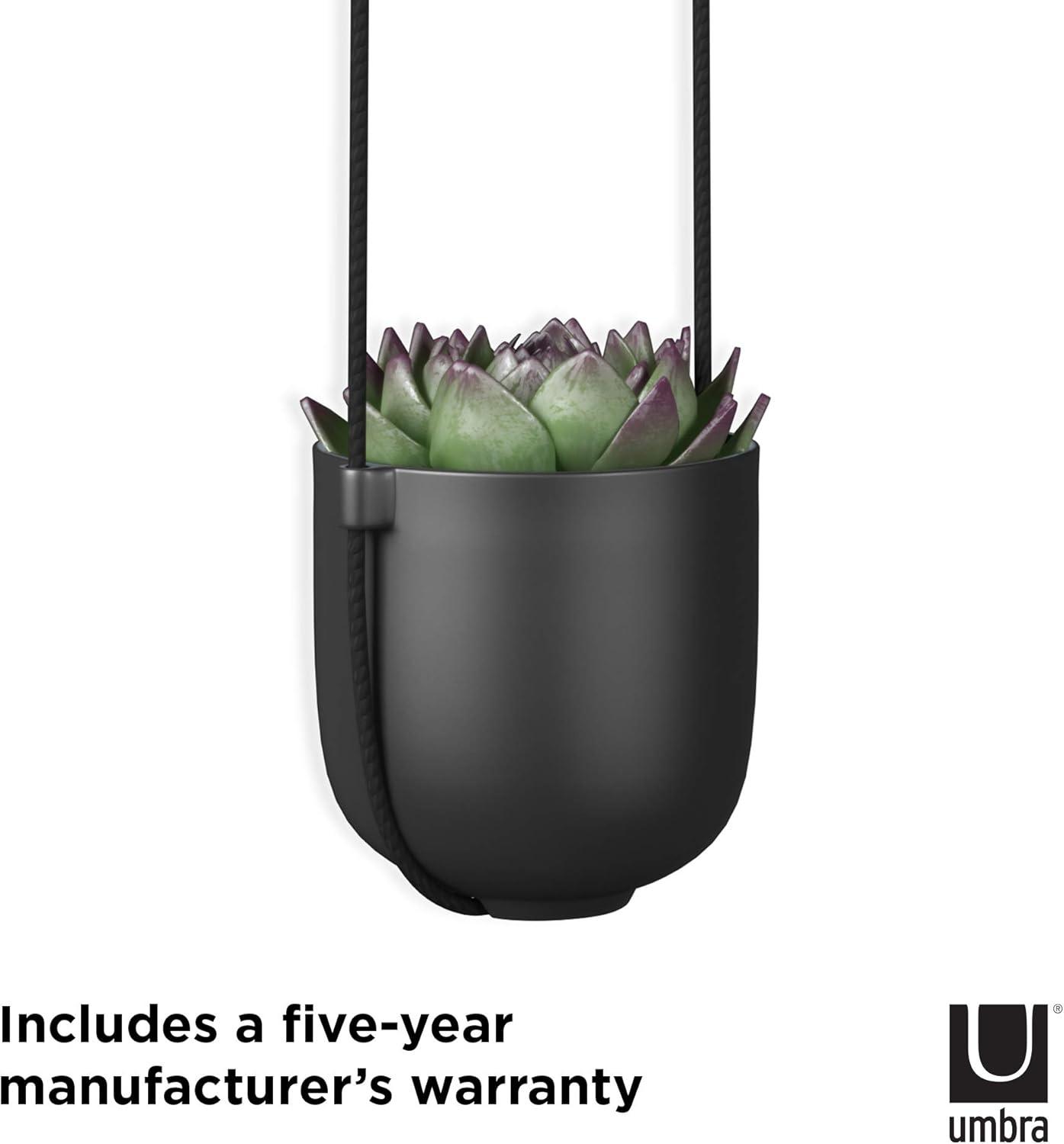 Bolo Soft Curve Black Ceramic Indoor/Outdoor Hanging Planter