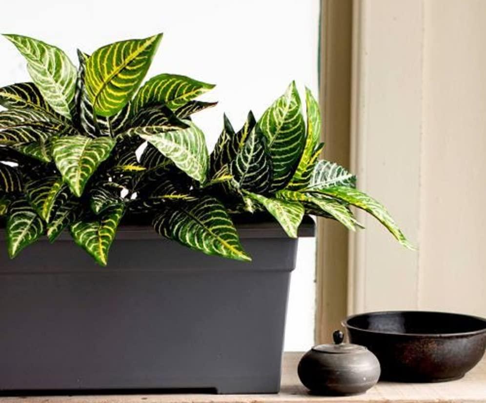 The HC Companies 28 Inch Romana Large Rectangular Planter Box - Lightweight Plastic Outdoor Plant Pot with Drainage for Decks, Patio, Pool, Warm Gray