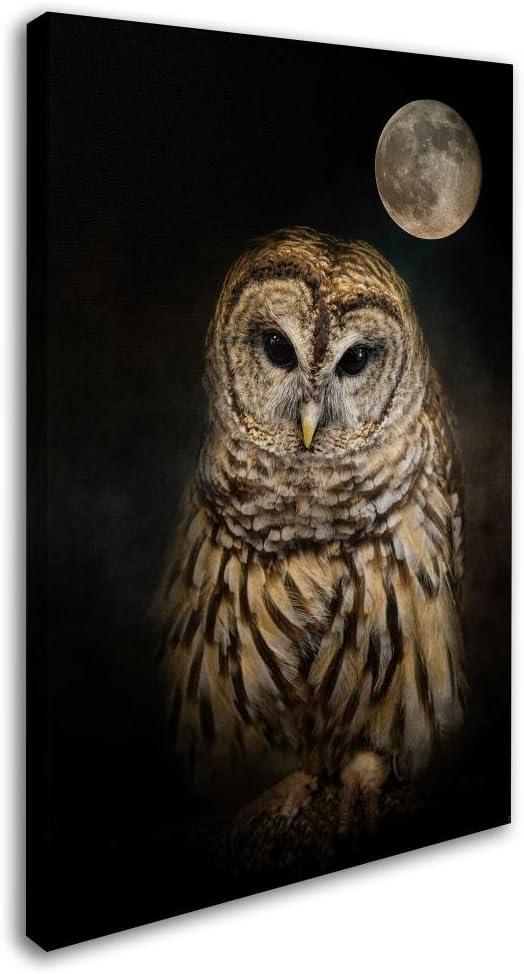 Trademark Fine Art Jai Johnson " Barred Owl And The Moon " by Jai Johnson