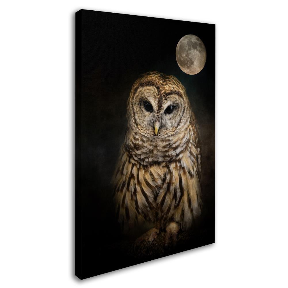 Trademark Fine Art Jai Johnson " Barred Owl And The Moon " by Jai Johnson