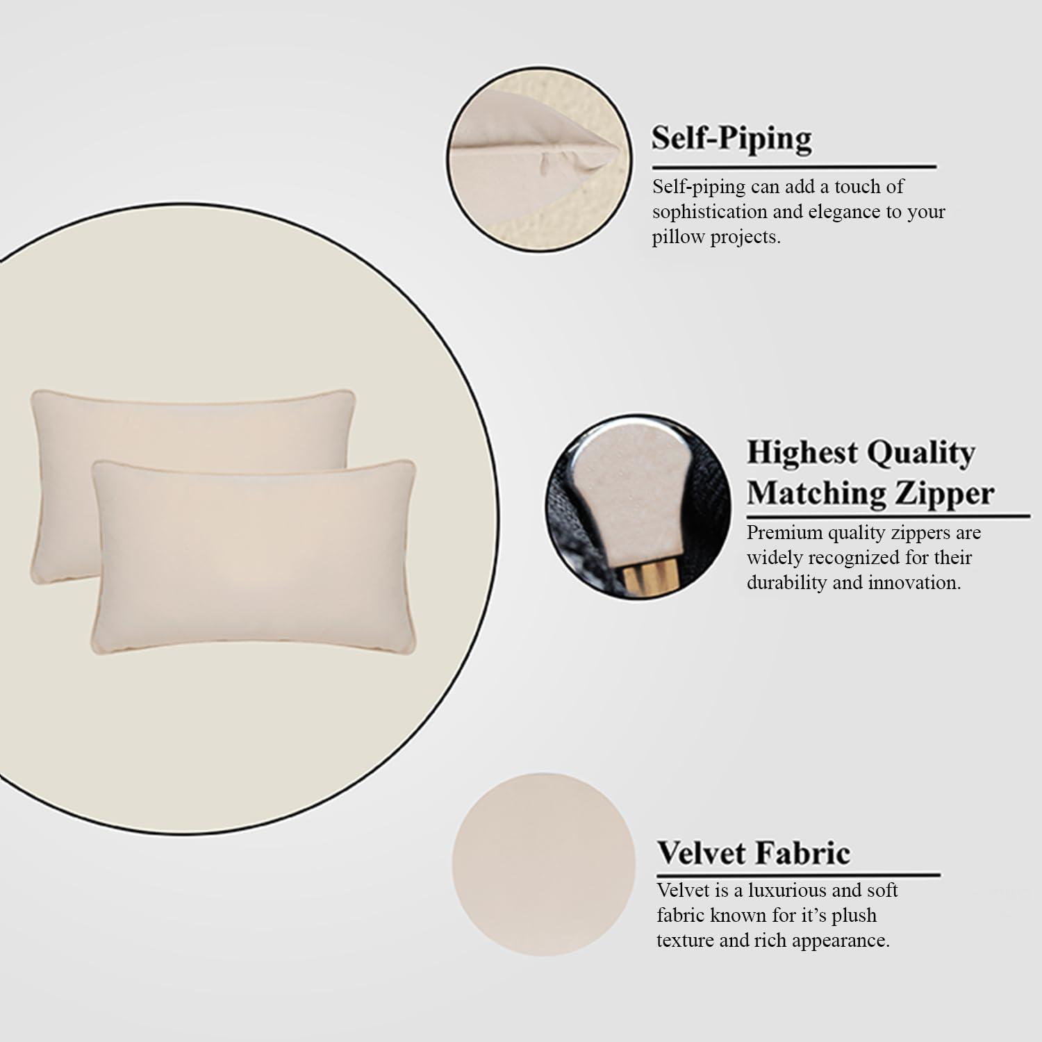 A1 Home Collections LLC Velvet Pillow Cover (Set of 2)