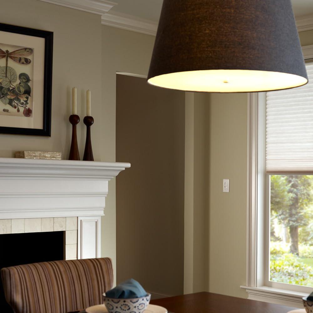 Tamper Resistant Slide Dimmer