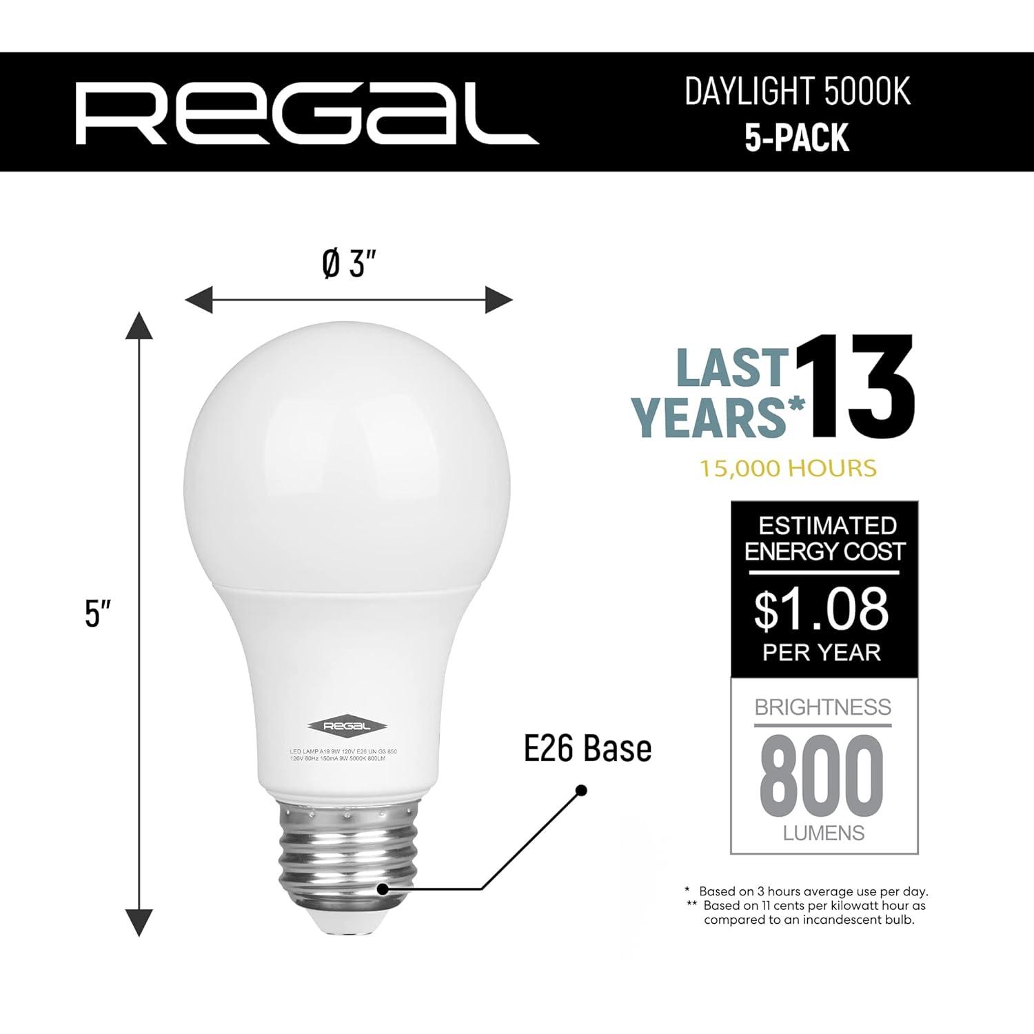 60 Watt Equivalent A19 E26/Medium (Standard) 5000K LED Bulb