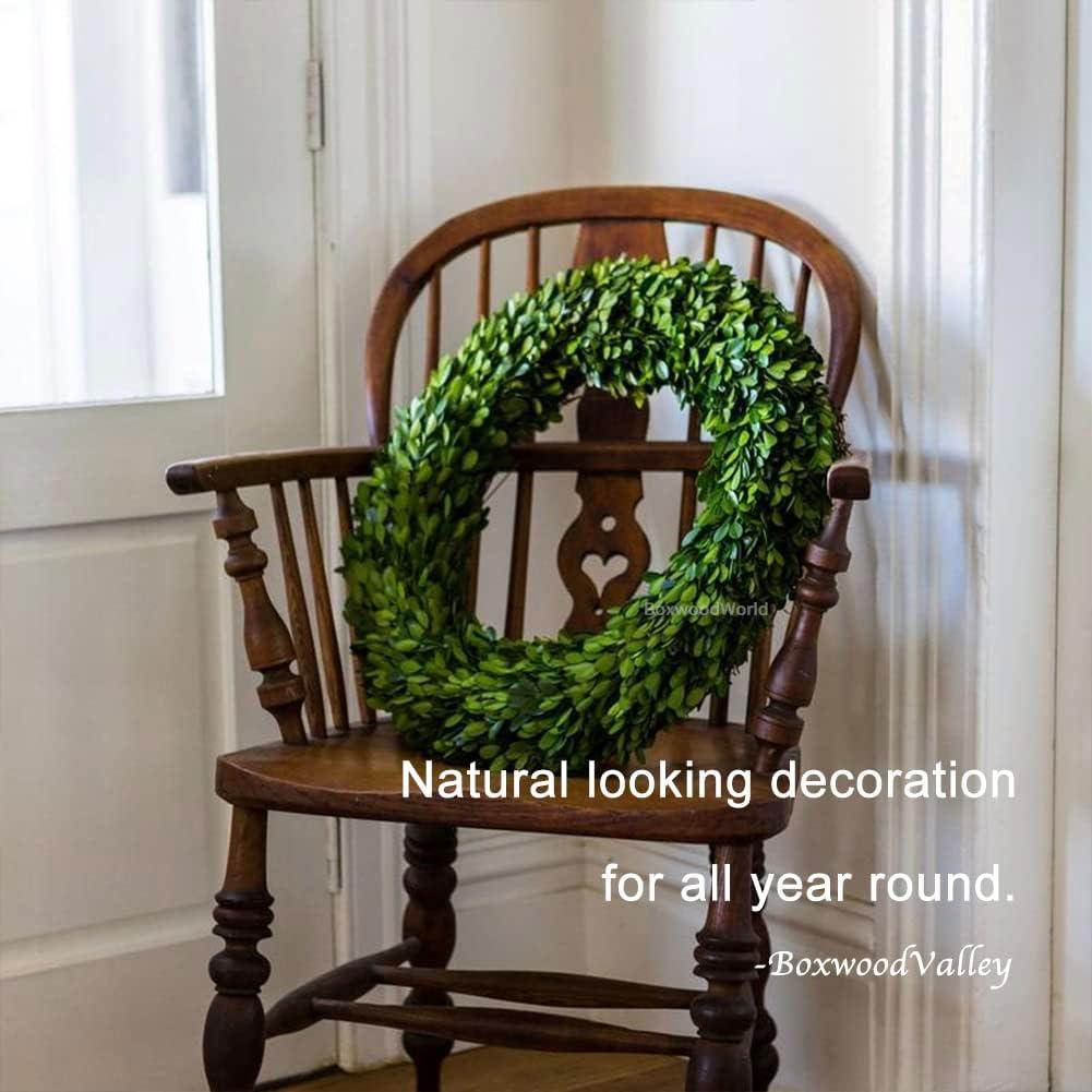 Alby Preserved Boxwood Real Greenery Wreath
